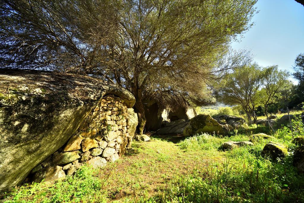 Lu Rotu Villa Sant'Antonio di Gallura Exteriör bild