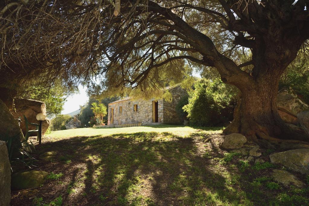 Lu Rotu Villa Sant'Antonio di Gallura Exteriör bild
